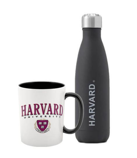 HARVARD UNIVERSITY